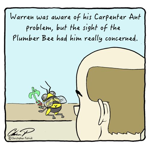 Warren was aware of his Carpenter Ant problem, but the sight of the Plumber Bee had him really concerned.