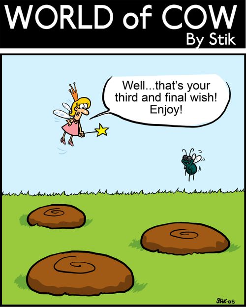 Well...that's your 3rd and final wish! Enjoy!