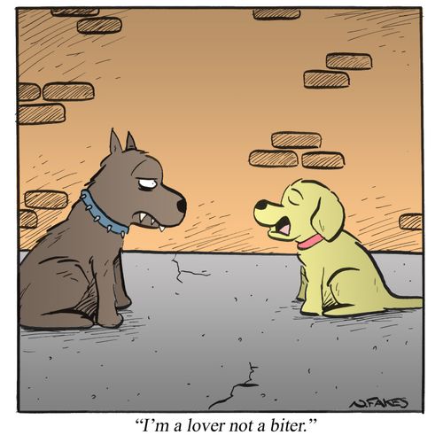 'I'm a lover not a biter.'