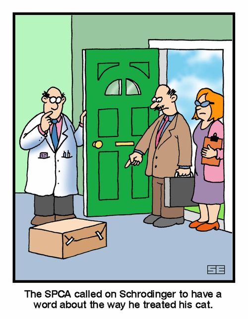 'The SPCA called on Schrodinger...'