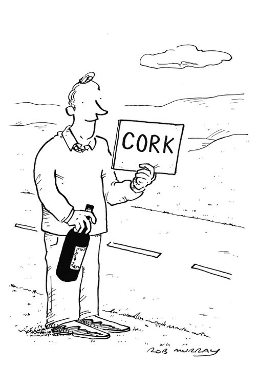 Wine enthusiast tries to make his way to Cork.