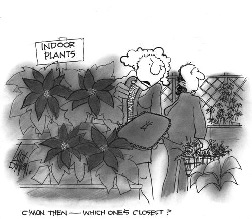 'C'mon then, which one matches the closest?'