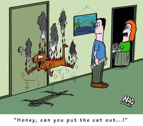 'Honey, can you put the cat out...!'