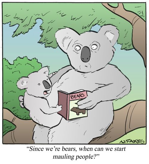 'Since we're bears, when can we start mauling people?'