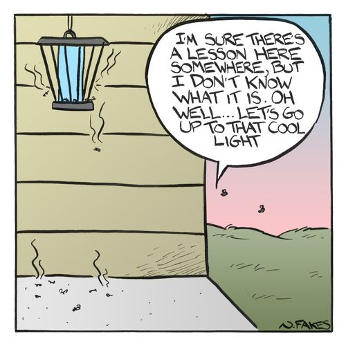 'I'm sure there's a lesson here somewhere, but I don't know what it is. Oh well...let's go up to that cool light.'