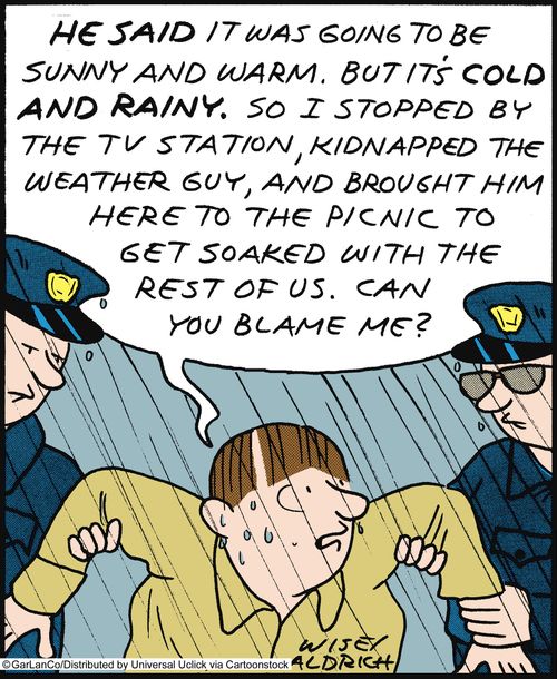 'He said it was going to be sunny and warm, but it's cold and rainy. So I stopped by the tv station, kidnapped the weather guy, and brought him here to the picnic to get soaked with the rest of us. Can you blame me?'