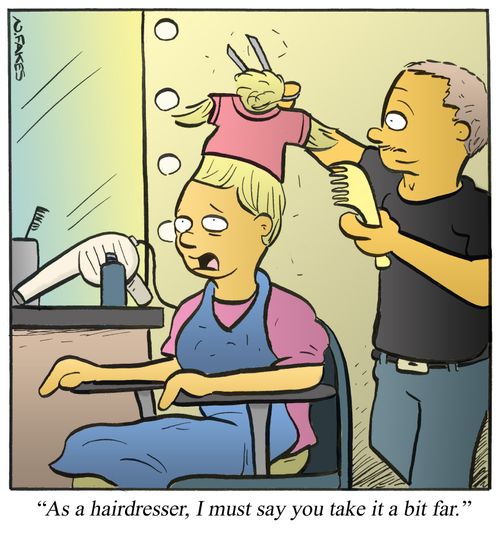'As a hairdresser, I must say you take it a bit far.'