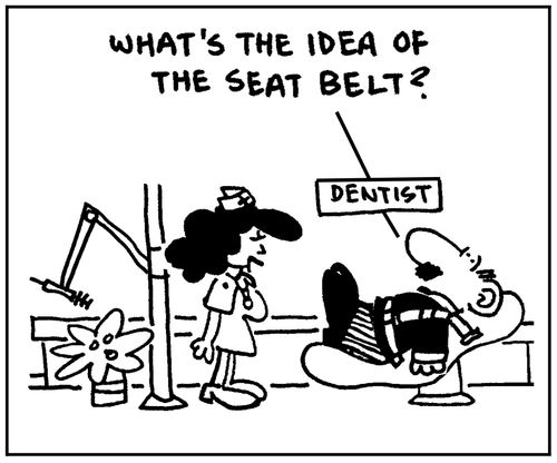 'What's the idea of the seat belt?'