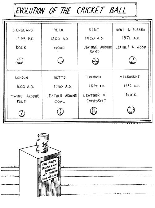 Evolution of the cricket ball