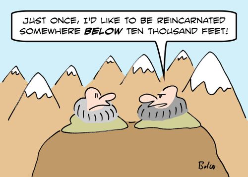 'Just once, I'd like to be reincarnated somewhere BELOW ten thousand feet!'