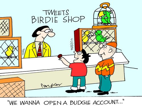 'We wanna open a budgie account...'