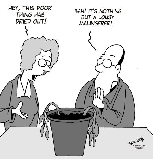 This plant is a lousy malingerer!