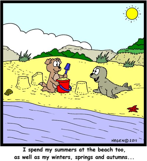 'I spend my summers at the beach too, as well as my winters, springs and autumns...'