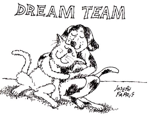 Dream team
