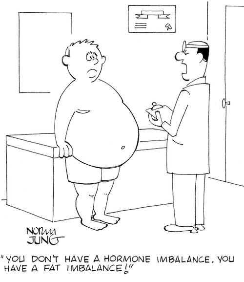 'You don't have a hormone imbalance. You have a fat imbalance!'