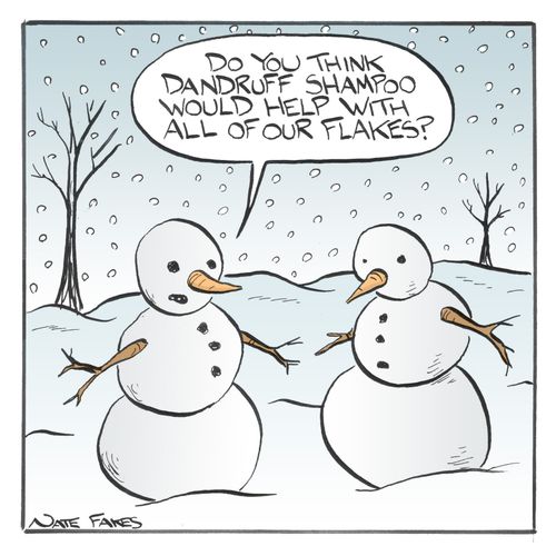 'Do you think dandruff shampoo would help with all of our flakes.'