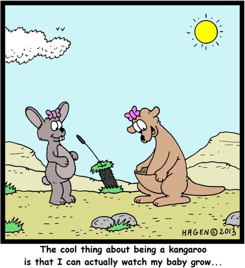 'The cool thing about being a kangaroo is that I can actually watch my baby grow...'