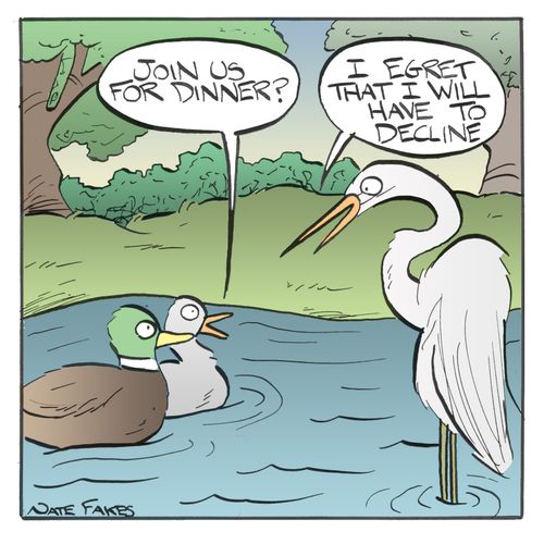 'I Egret that I will have to decline.'