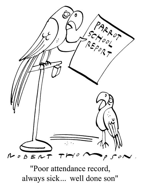 Parrot School Report - "Poor attendance record, always sick....well done son."