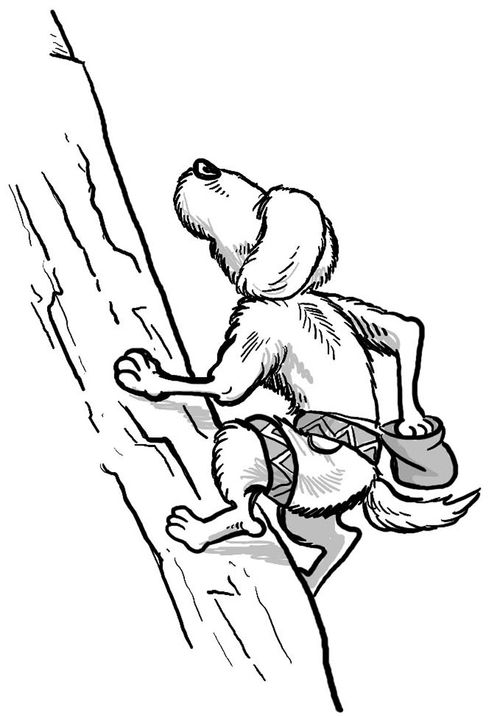 Rock-Climbing Dog