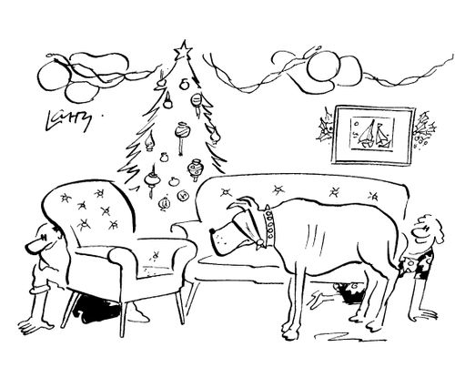 Playing hide and seek with the dog