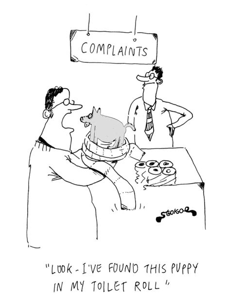 'Complaints desk - Look, I've found this puppy in my toilet roll.'
