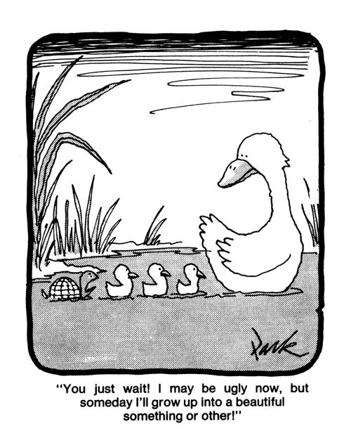 'You just wait! I may be ugly now, but someday I'll grow up into a beautiful something or other!'