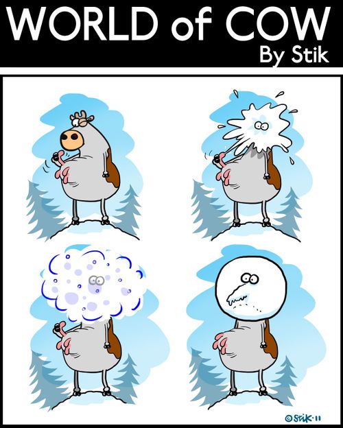 Snow Cow