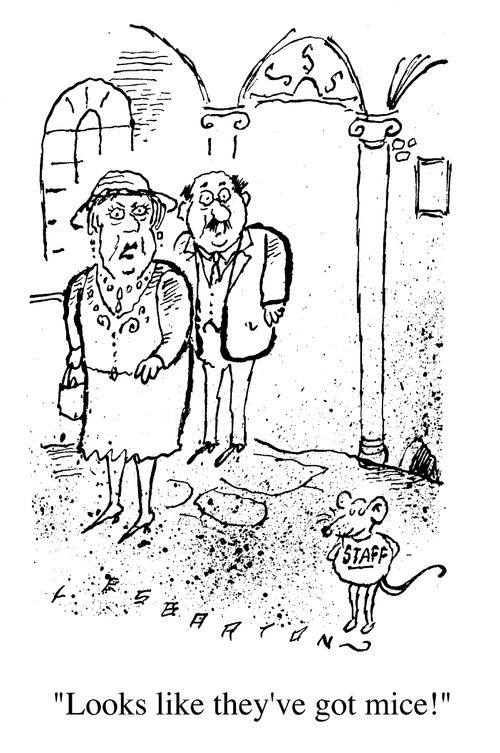 "Looks like they've got mice ?"