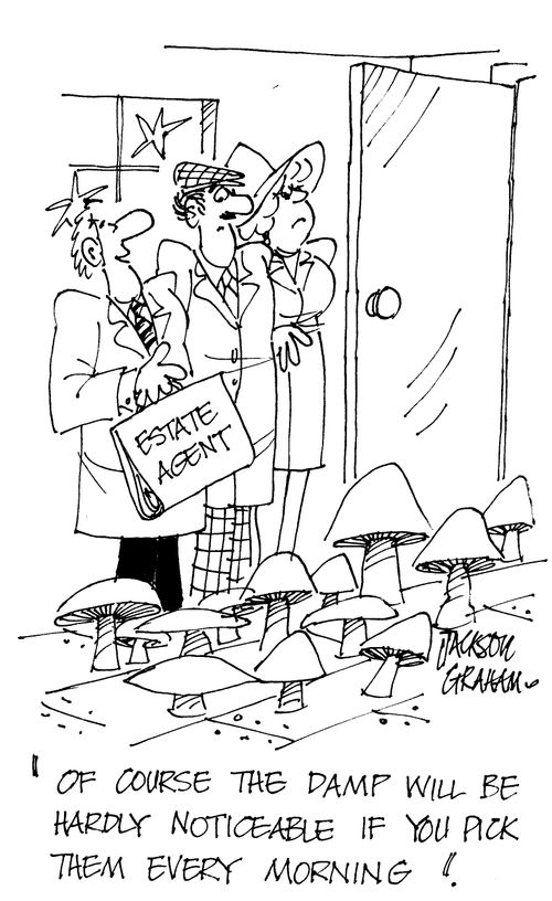 'Of course the damp will be hardly noticeable if you pick them every morning'.
