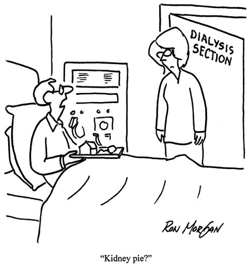 'kidney Pie?'
