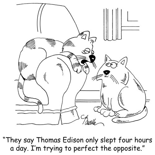 'They say Thomas Edison only slept four hours a day. I'm trying to perfect the opposite.'
