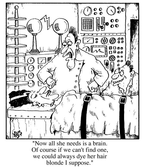 "Now all she needs is a brain. Of course if we can't find one, we could always dye her hair blonde I suppose."