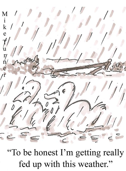 'To be honest I'm getting really fed up with this weather.'