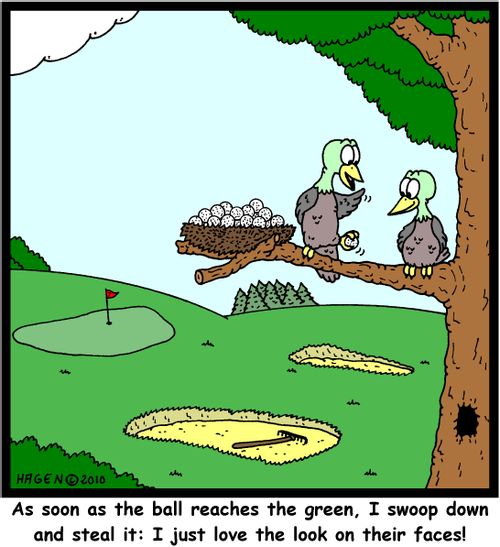 'As soon as the ball reaches the green, I swoop down and steal it: I just love the look on their faces!'