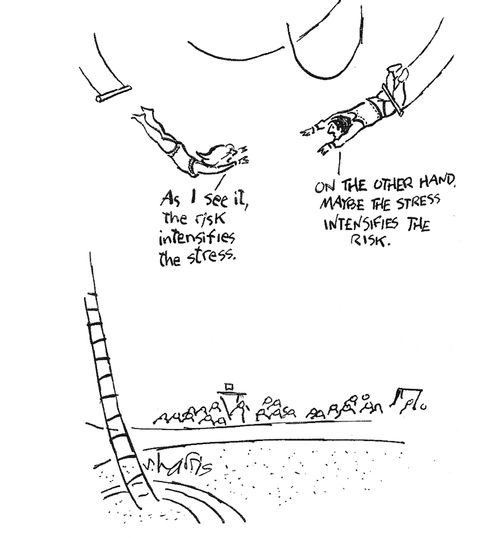 'As I see it, the risk intensifies the stress.'  'On the other hand, maybe the stress intensifies the risk.'