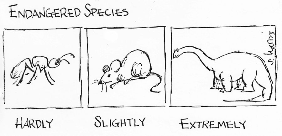 Endangered Species: Hardly, Slightly, Extremely.