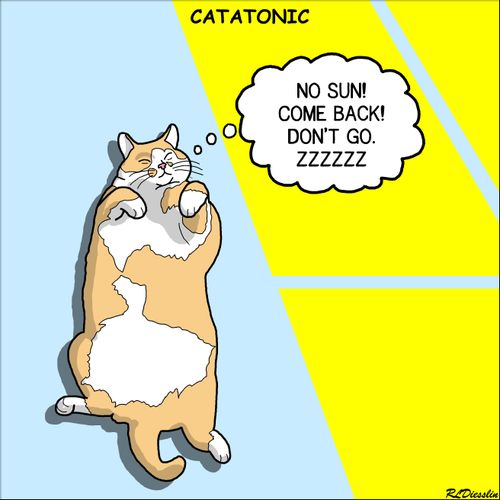 Catatonic