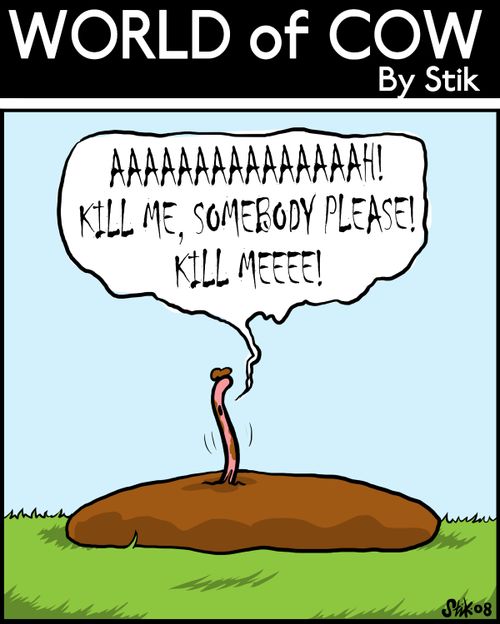'Aaaaah Kill me, somebody please Kill me'