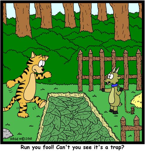 'Run you fool! Can't you see it's a trap?'