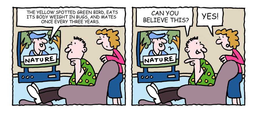 "The yellow spotted green bird, eats its body weight in bugs, and mates once every three years."
