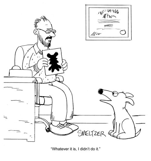 'Whatever it is, I didn't do it.'