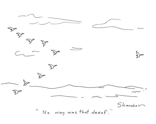 'No way was that decaf.'