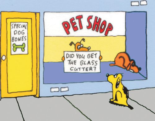 Dog in pet shop window holding sign to dog on footpath: DID YOU GET THE GLASS CUTTER?