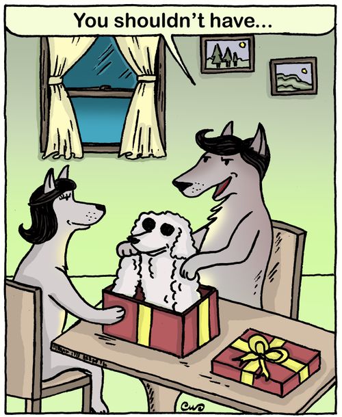 'You shouldn't have...'