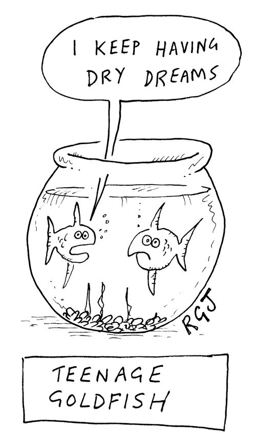 'Teenage Goldfish' I keep having dry dreams
