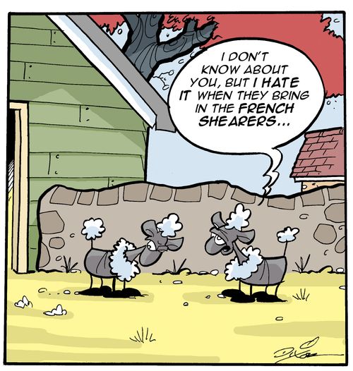 "I don't know about you, but I hate it when they bring in the French shearers..."