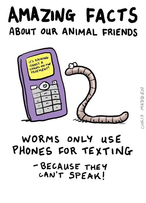 Amazing Facts: About Our Animal Friends, Worms only use Phones for Texting.