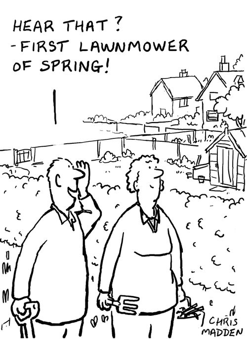 Hearing the sound of the first lawnmower of spring