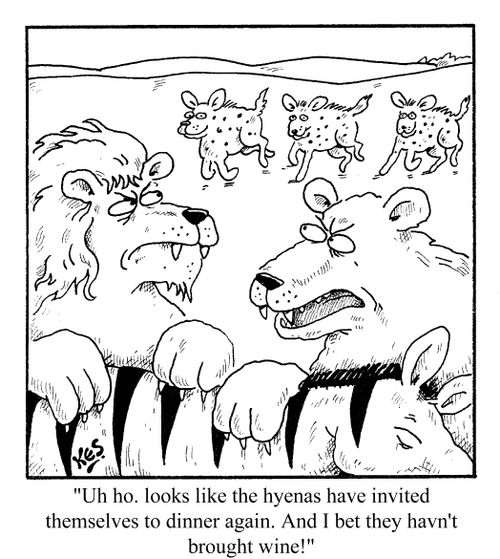'Uh ho, looks like the hyenas have invited themselves to dinner again. And I bet they haven't brought wine!'